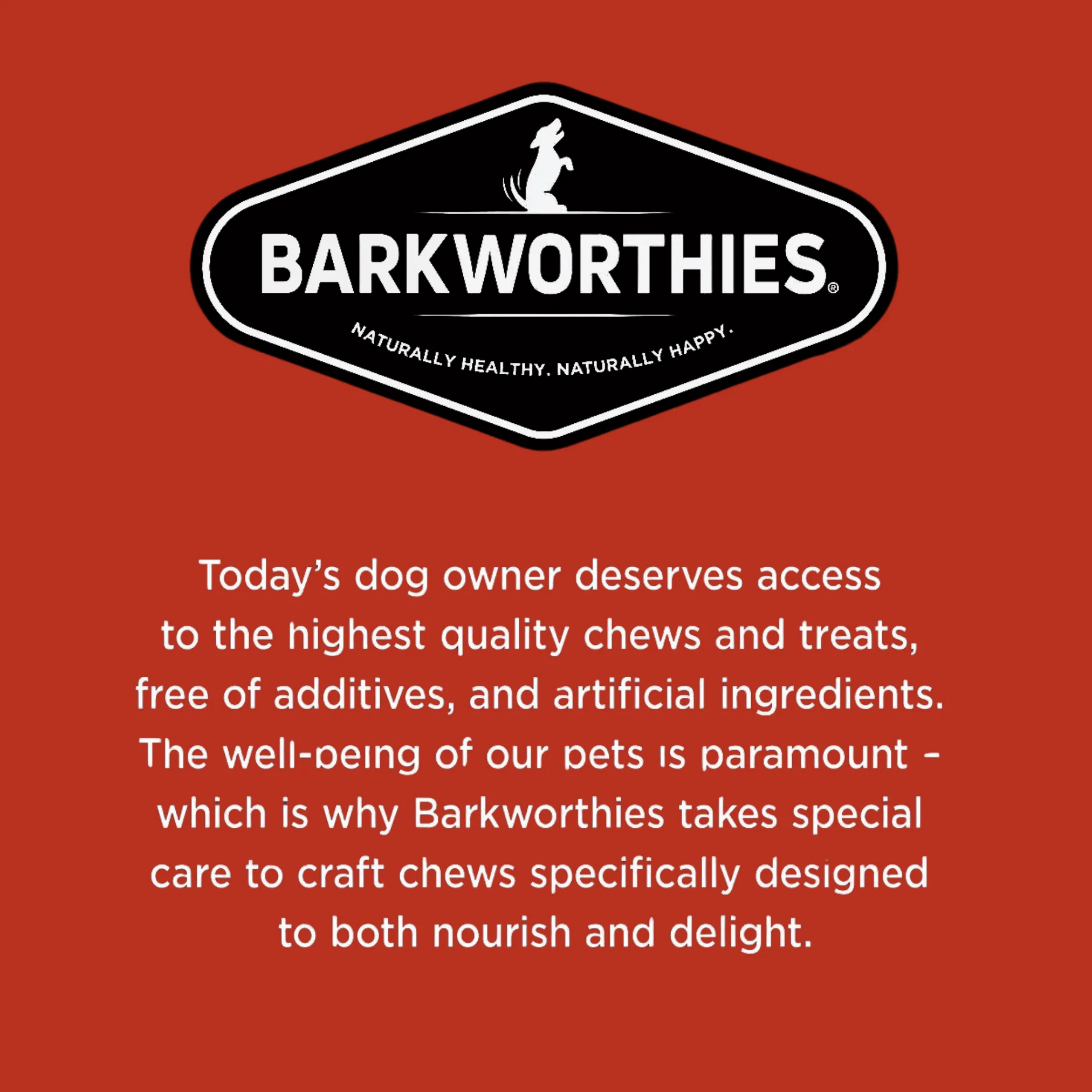 Barkworthies Naturally Smoked Braided Pork Pizzle Dog Chews