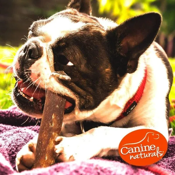 Canine Naturals Hide Free Peanut Butter Rolls Dog Chew