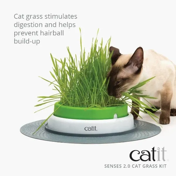 Catit Senses 2.0 Cat Grass Kit