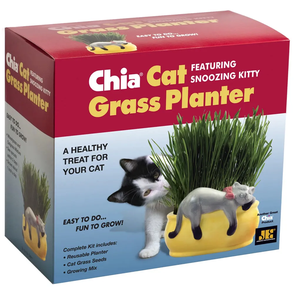 Chia Pet Planter - Cat Grass Snoozy Kitty