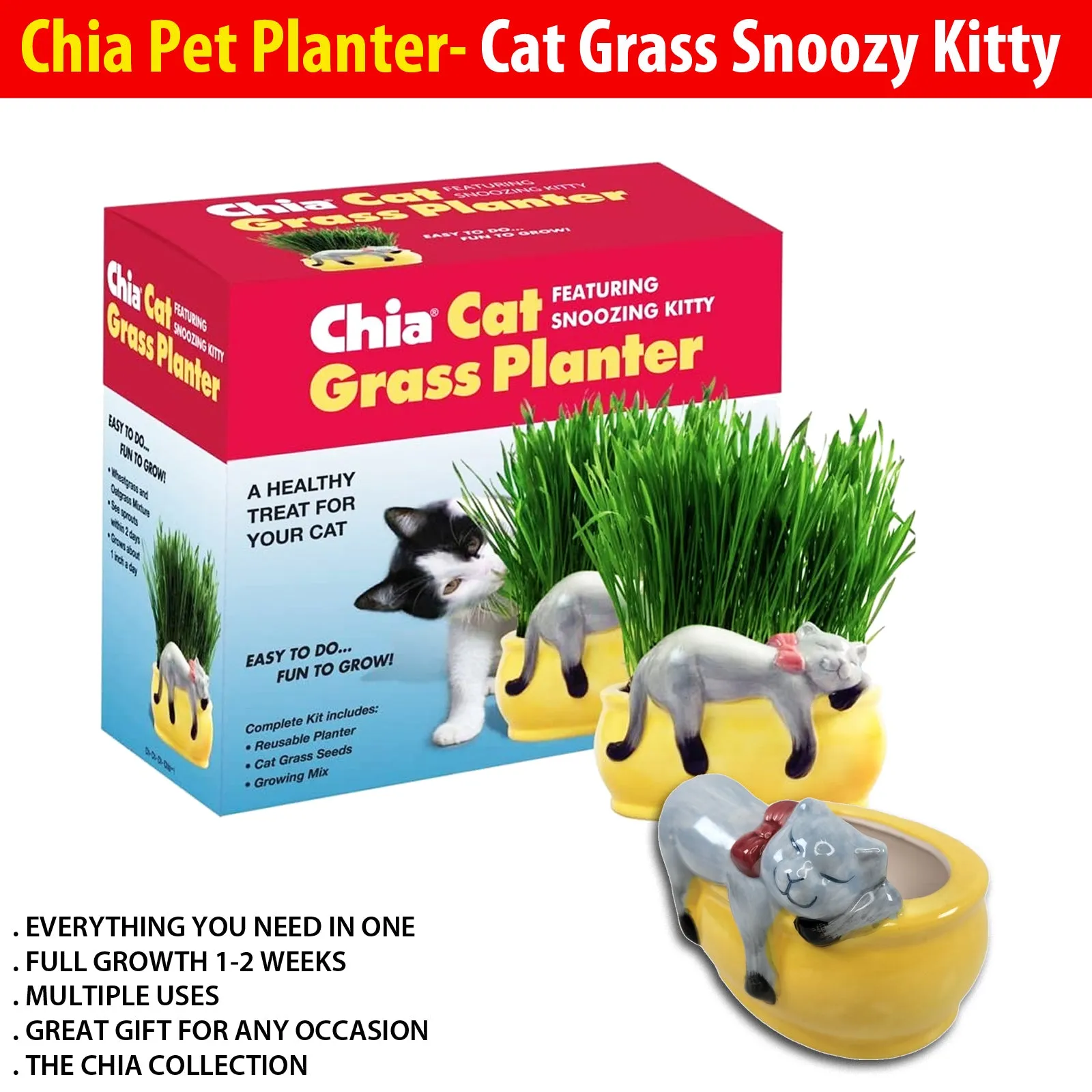 Chia Pet Planter - Cat Grass Snoozy Kitty