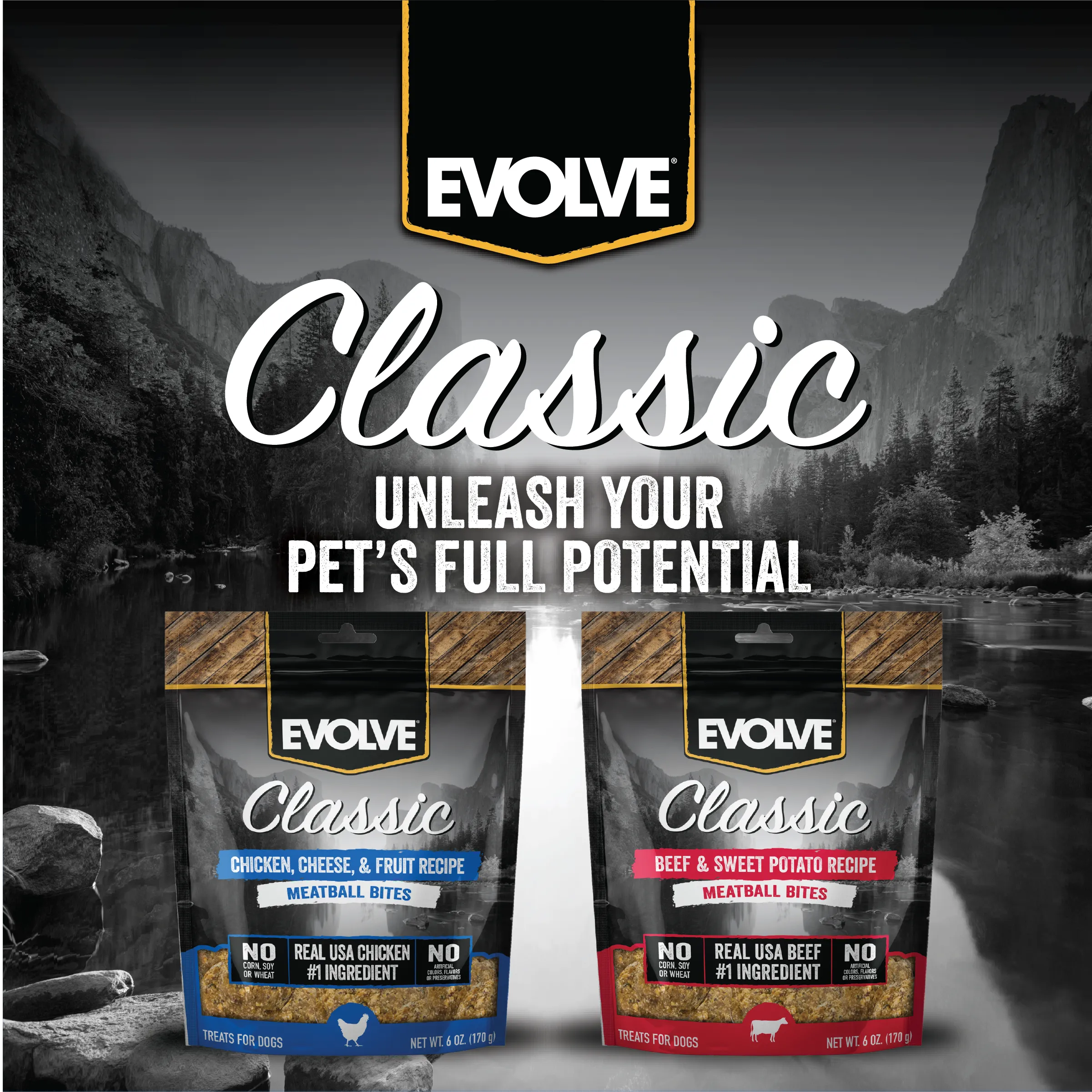 Classic Beef & Sweet Potato Meatball Bites | 6 oz | Evolve