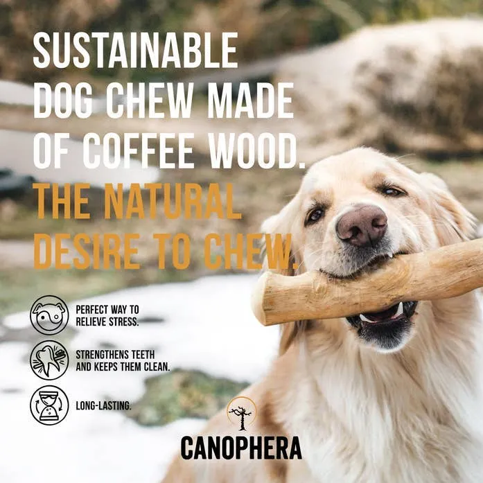 Coffee Wood Dog Chew Stick - L