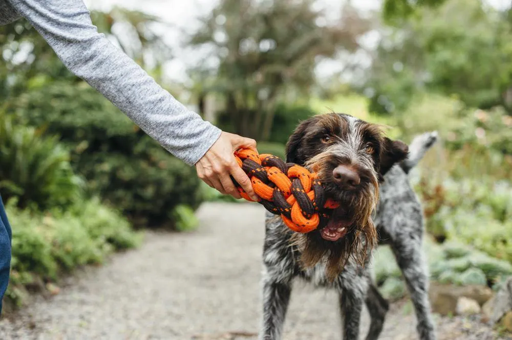 Dog Toy Honeycomb Rope