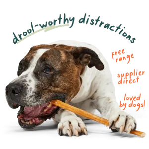 Free Bully Sticks