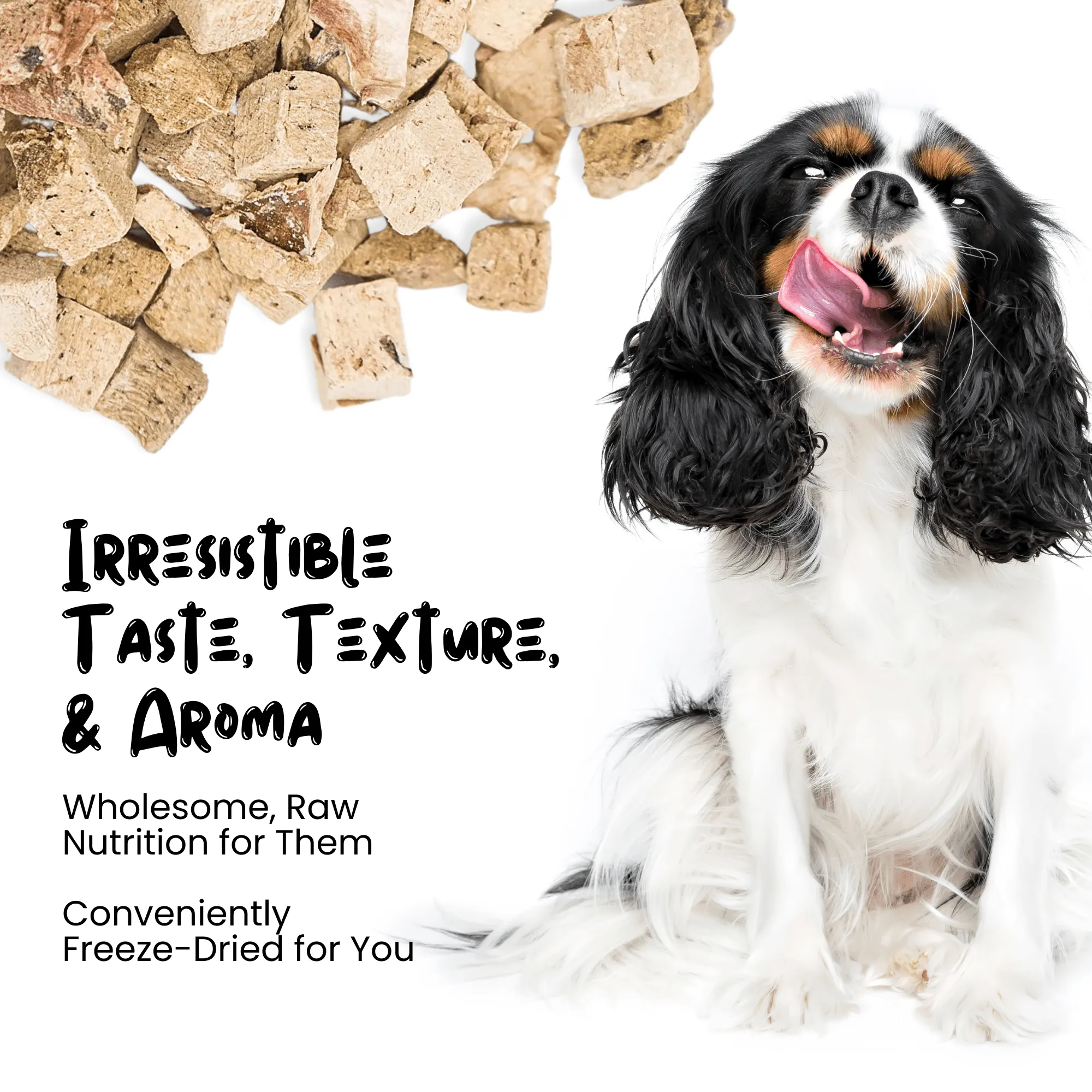 Freeze Dried Beef Liver Treats for Cats & Dogs