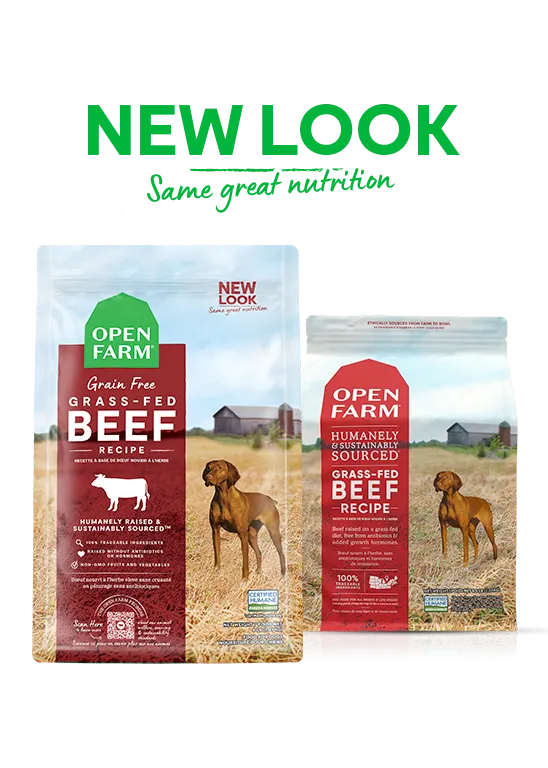 Grass-Fed Beef Grain-Free Dry Dog Food