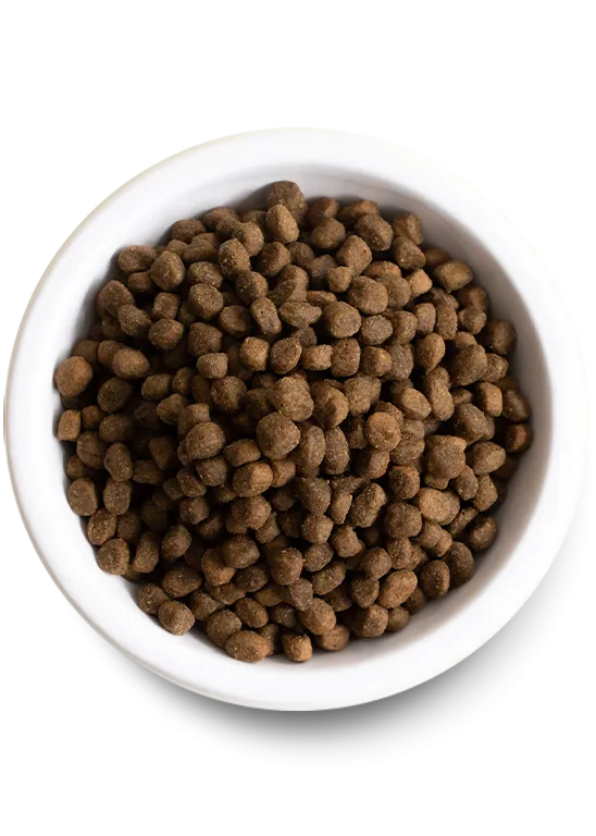 Grass-Fed Beef Grain-Free Dry Dog Food