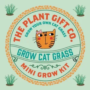 Grow Cat Grass Mini Grow Kit by The Plant Gift Co.