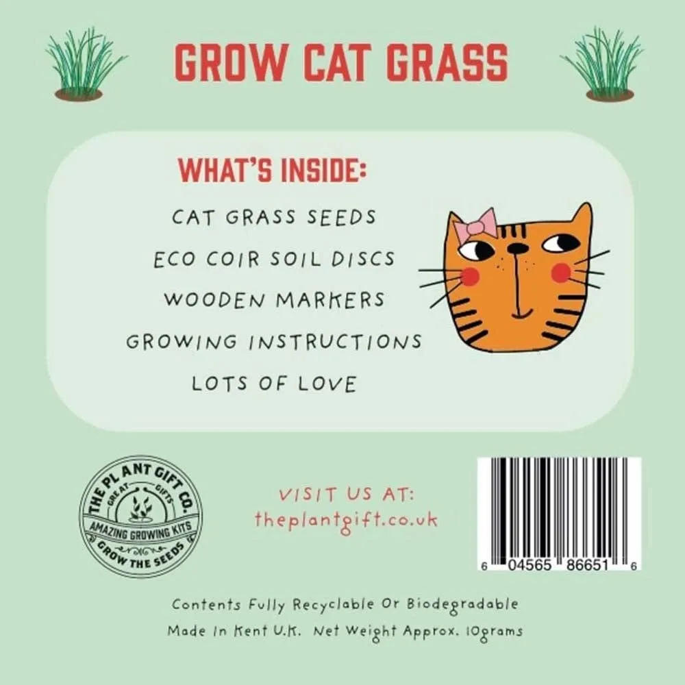 Grow Cat Grass Mini Grow Kit by The Plant Gift Co.