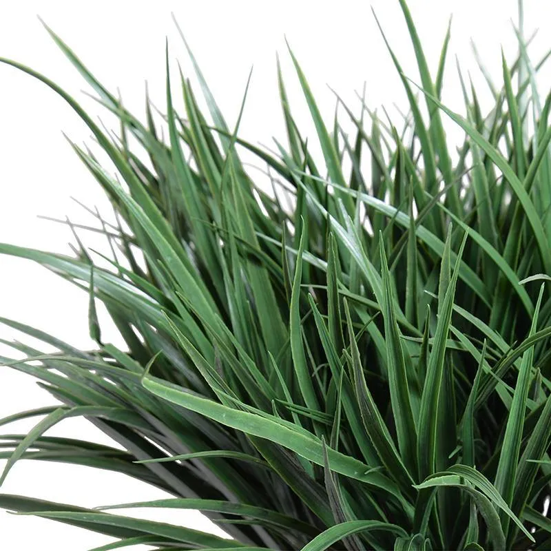 Liriope Grass 20"H