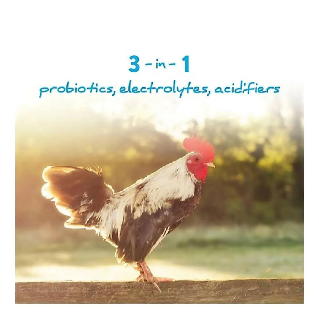 Manna Pro Hydro-Hen 3-in-1 Water Supplement for Poultry