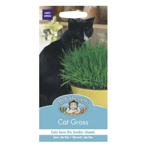 Mr Fothergill's Cat Grass Flower Seeds