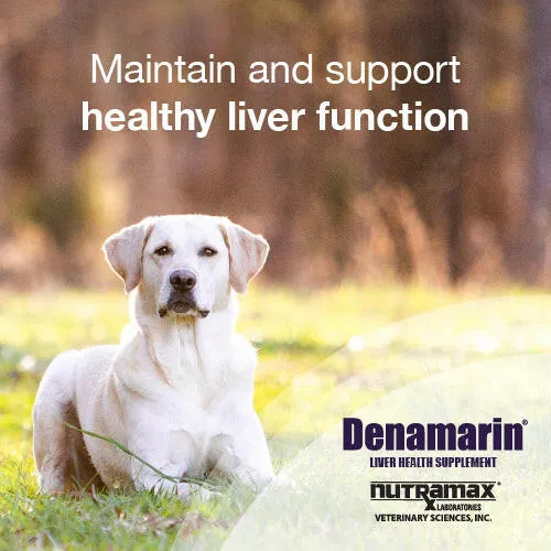 Nutramax Denamarin Liver Health Supplement for Dogs, With S-Adenosylmethionine (SAMe) and Silybin