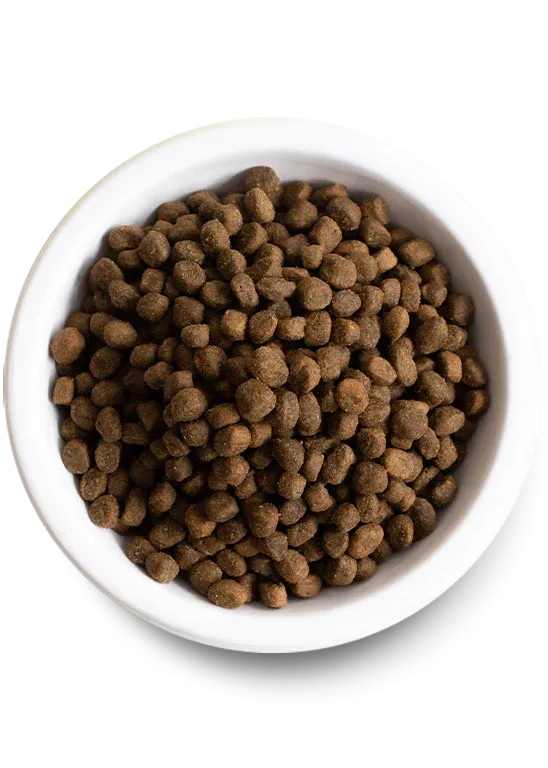 Open Farm - Grain Free Grass Fed Beef - Dry Dog Food