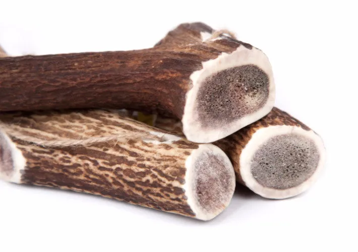 Original Antler Chew Premium