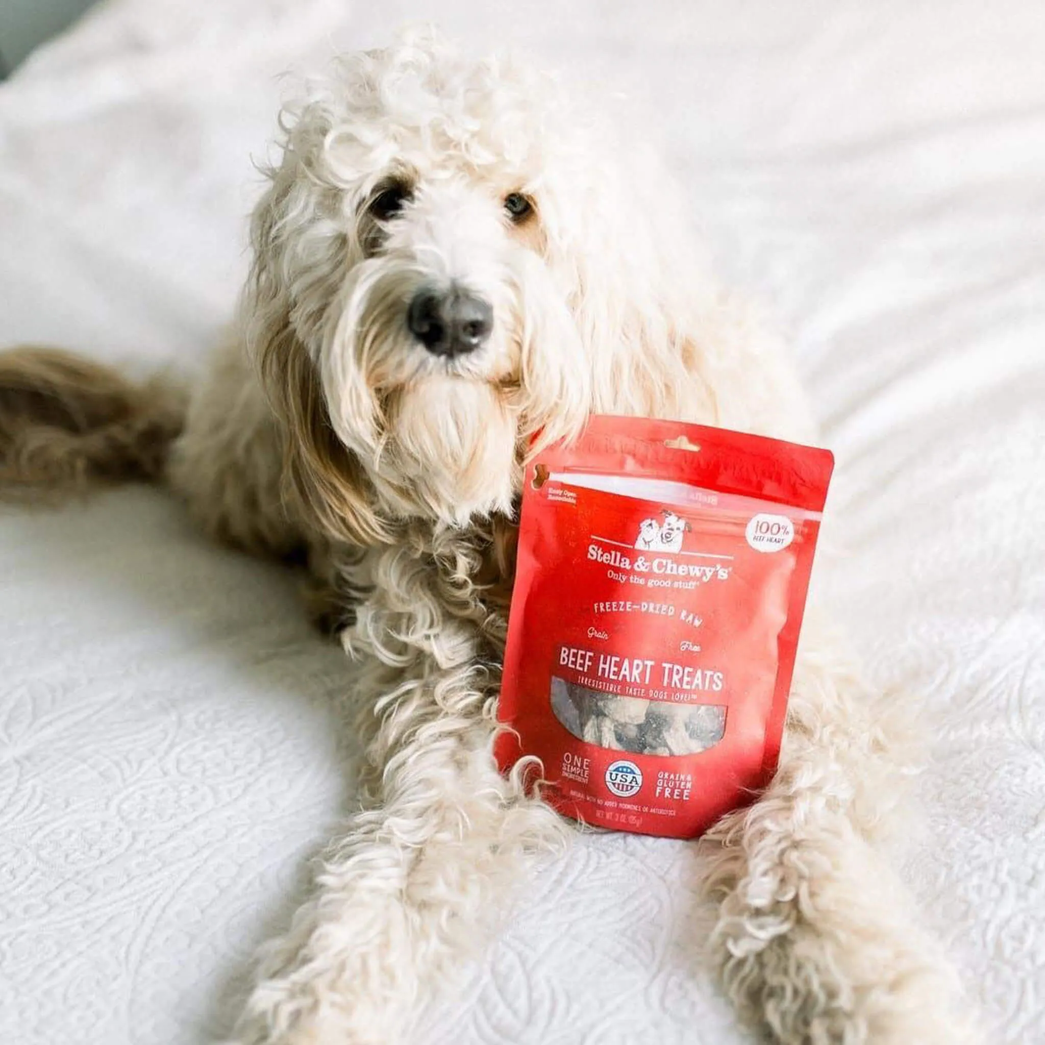 Stella & Chewy's Freeze-Dried Raw Single Ingredient Treats