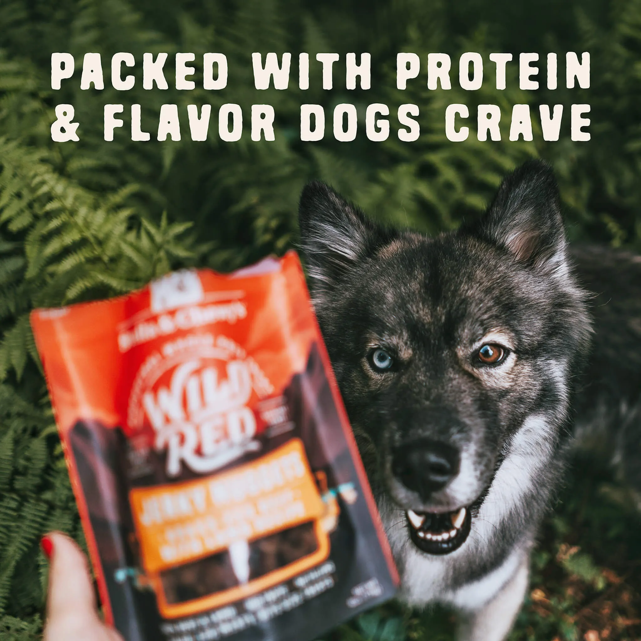 Stella & Chewy's Wild Red Jerky Nuggets 6oz