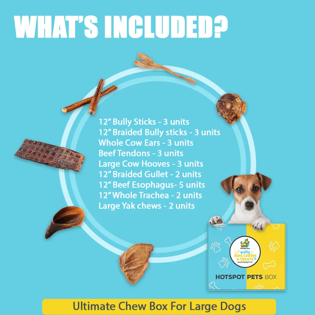 Ultimate Chew Box For All Sized Dogs