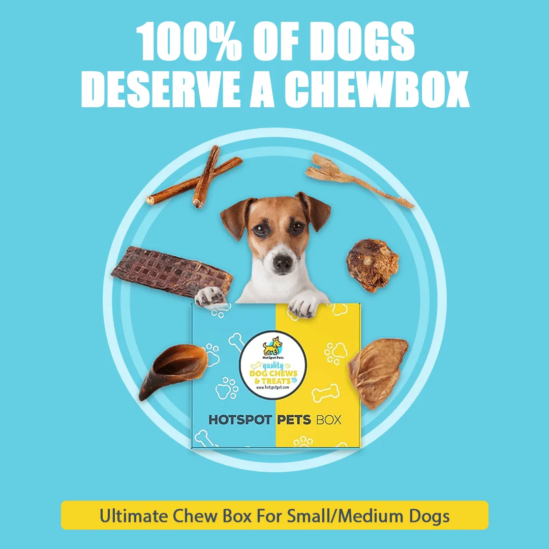 Ultimate Chew Box For All Sized Dogs